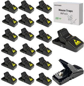 CACUTUSGO reusable mouse trap baited and placed along a wall for indoor control.