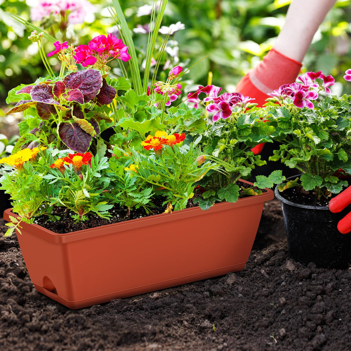 CADUKE planter tray with drainage promotes healthy moisture management
