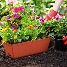 CADUKE planter tray with drainage promotes healthy moisture management