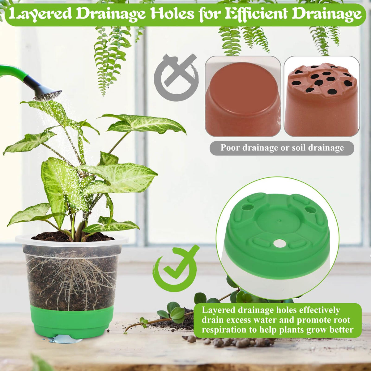 Caffox clear nursery pots with drainage holes promote root aeration and drainage.
