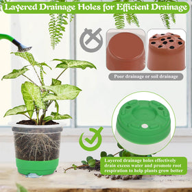 Caffox clear nursery pots with drainage holes promote root aeration and drainage.