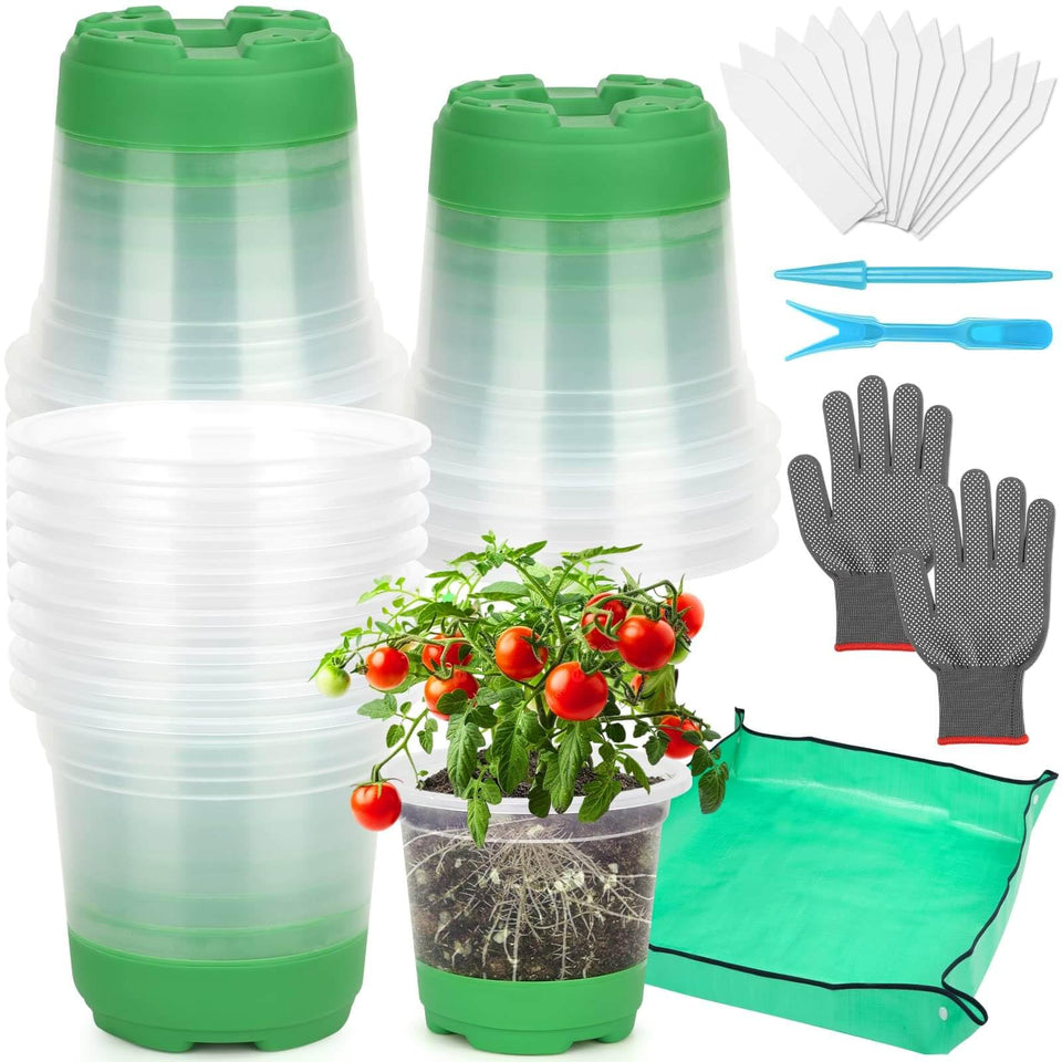 Caffox clear pots with silicone base for gentle transplanting and root protection