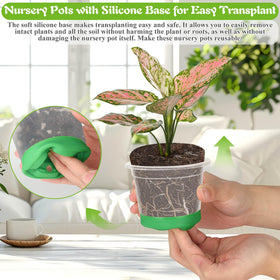 Caffox plant labels help you track species and growth stages.