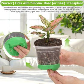 Caffox plant labels to track seedling progress