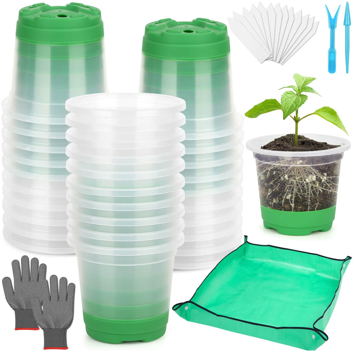 Caffox seedling pots with silicone base support gentle transplanting and intact roots.