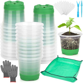 Caffox seedling pots with silicone base support gentle transplanting and intact roots.