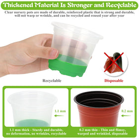 Caffox translucent pots let you monitor moisture and root health.