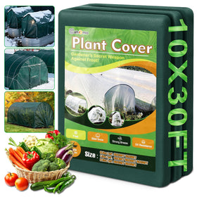 Cahomo green plant covers ten-by-thirty feet frost cloth protects crops from frost