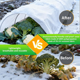 Cahomo greenhouse protection cover guarding high-value plants from cold.
