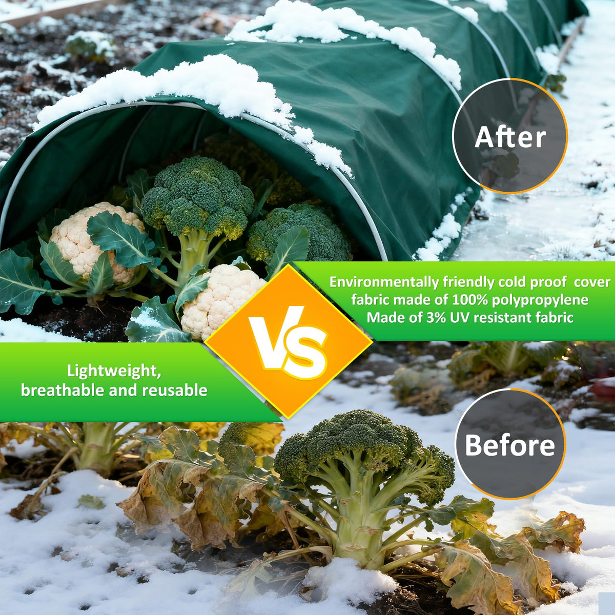Cahomo multi-functional plant cover reduces evaporation and seals microclimate