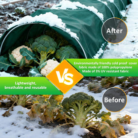 Cahomo multi-functional plant cover reduces evaporation and seals microclimate
