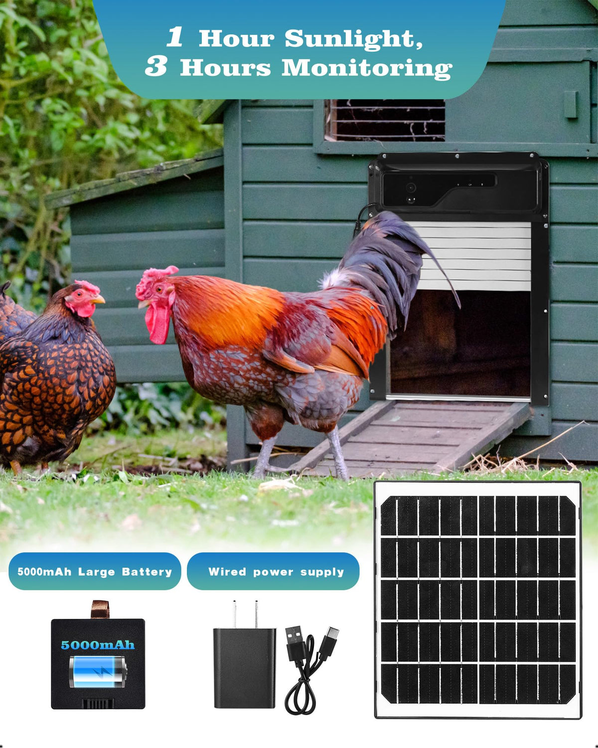 Caifunway coop door night-vision camera lets you watch your flock after dark.