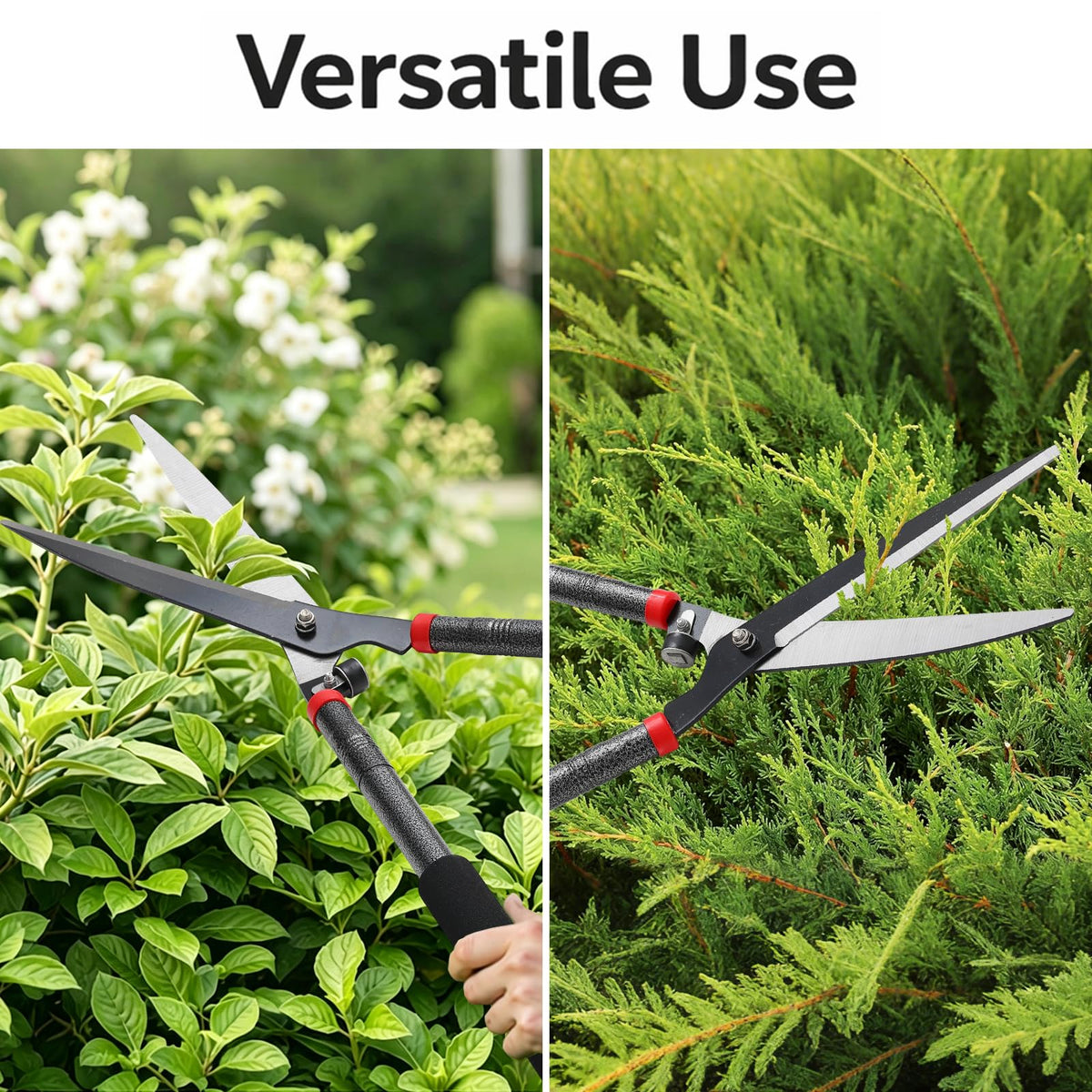 CALCHELE hedge shears non-slip handles for confident control.