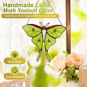 Calmpathz Luna Moth sunlit prisms brighten meditation corners with tranquil visuals.