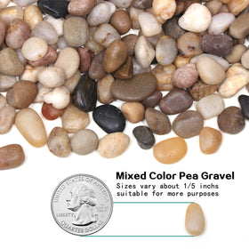 Calofulston 5lb gravel in an aquarium enhances habitat with natural color