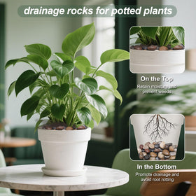 Calofulston river rocks provide durable mulch alternative for planters and flower beds.