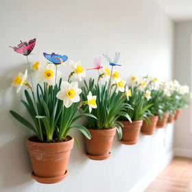 CAMATET pots decor with butterflies brightens indoor spaces.