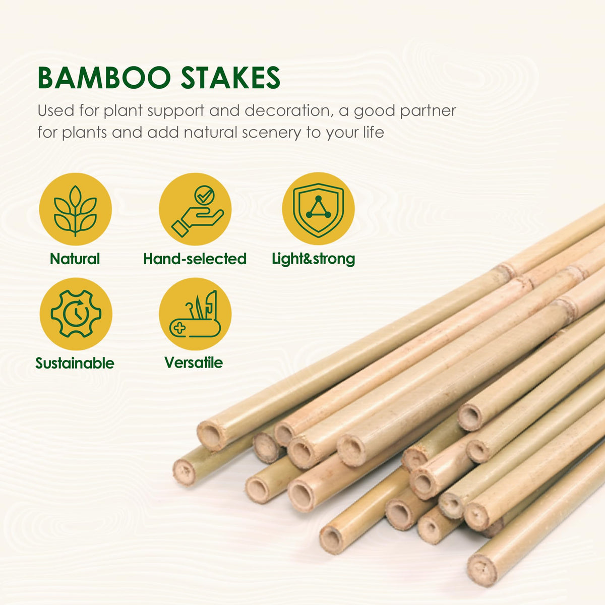 Cambaverd bamboo stake close-up showing natural grain and thickness for durability.