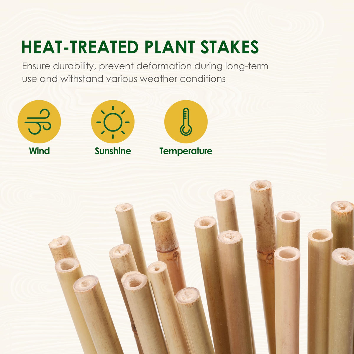 Cambaverd 3ft stake supports climbing plants for better growth.