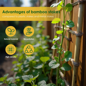 Cambaverd 3ft bamboo stake for easy ground insertion and reliable support.