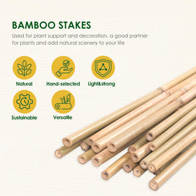 Cambaverd bamboo stake shown in garden setting for versatile plant support.