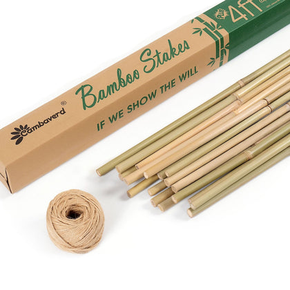 Cambaverd bamboo stakes in soil provide sturdy plant support