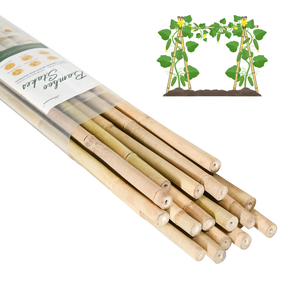 Cambaverd bamboo stakes 7 ft bundle for sturdy tomato support in the garden.