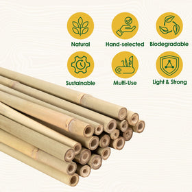20-pack Cambaverd bamboo stakes with natural jute twine included