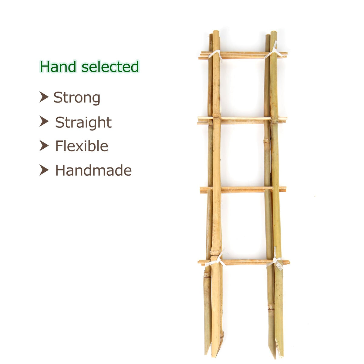 Cambaverd bamboo trellis 3-pack with twist ties secures indoor vines