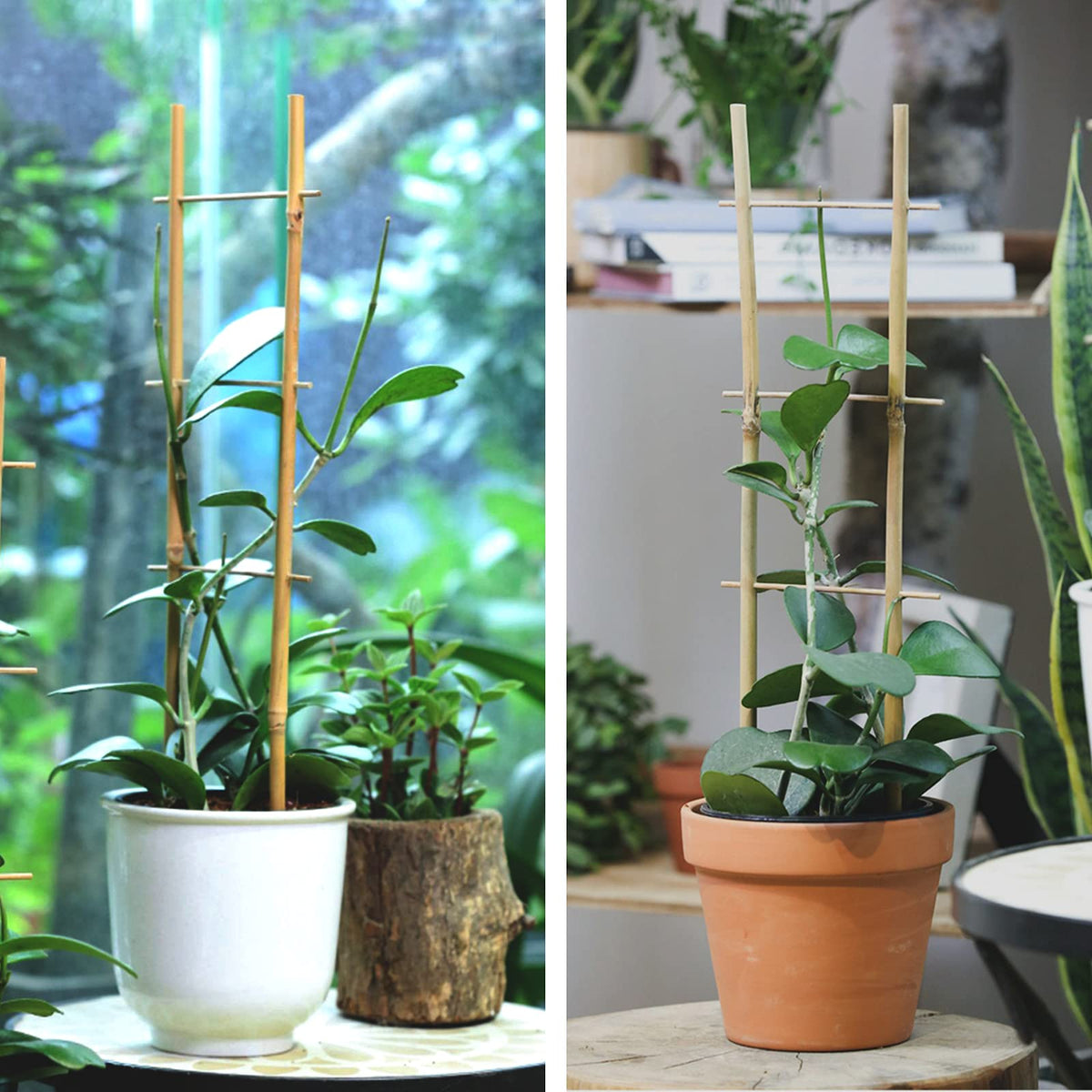 Cambaverd bamboo trellis handmade quality from renewable materials