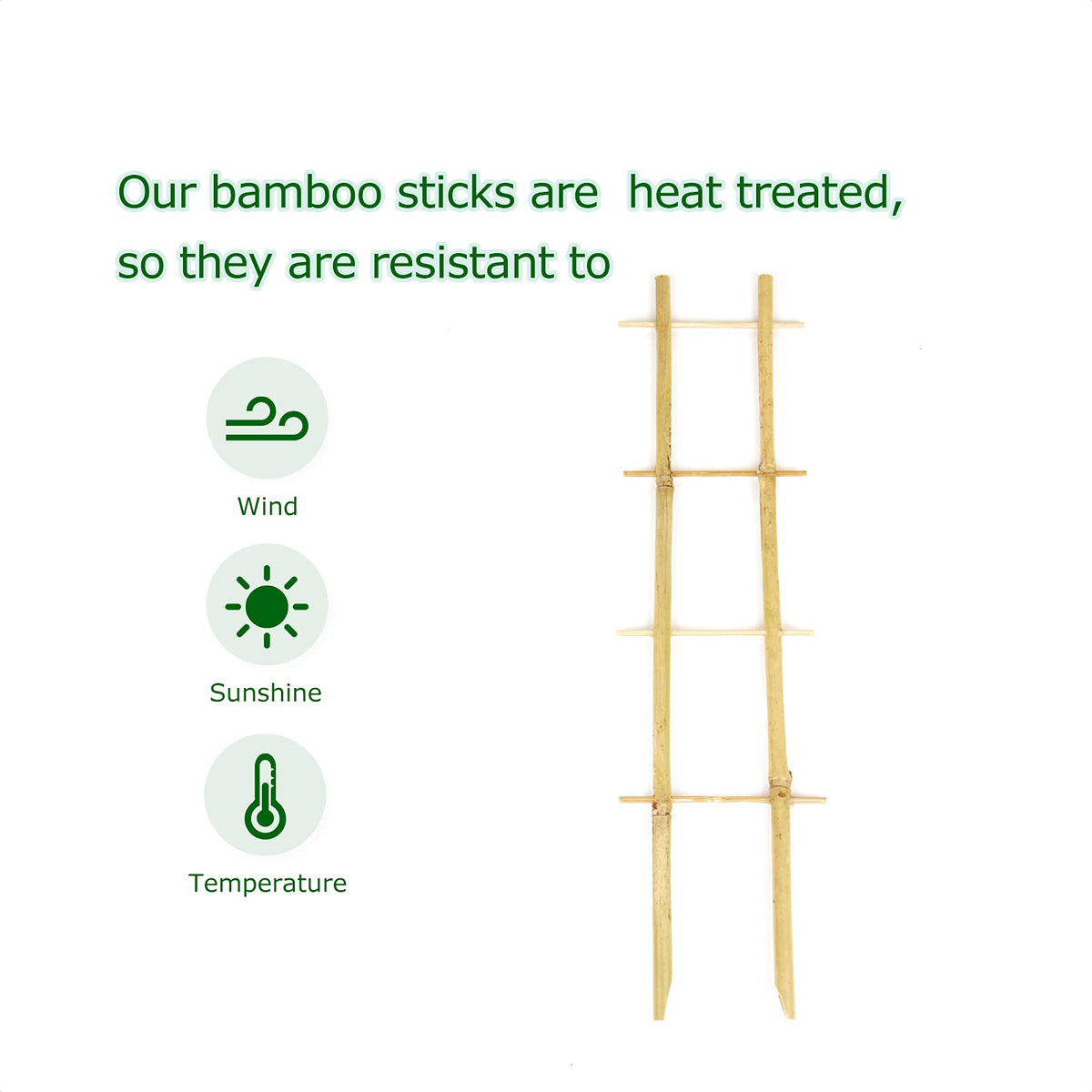 Cambaverd bamboo trellis indoor climbing plants encourages vertical growth