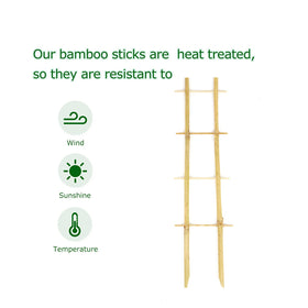 Cambaverd bamboo trellis indoor climbing plants encourages vertical growth