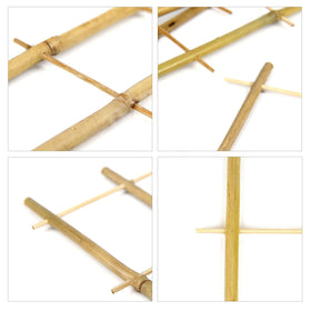 Cambaverd bamboo trellis packaged as a gift for plant lovers