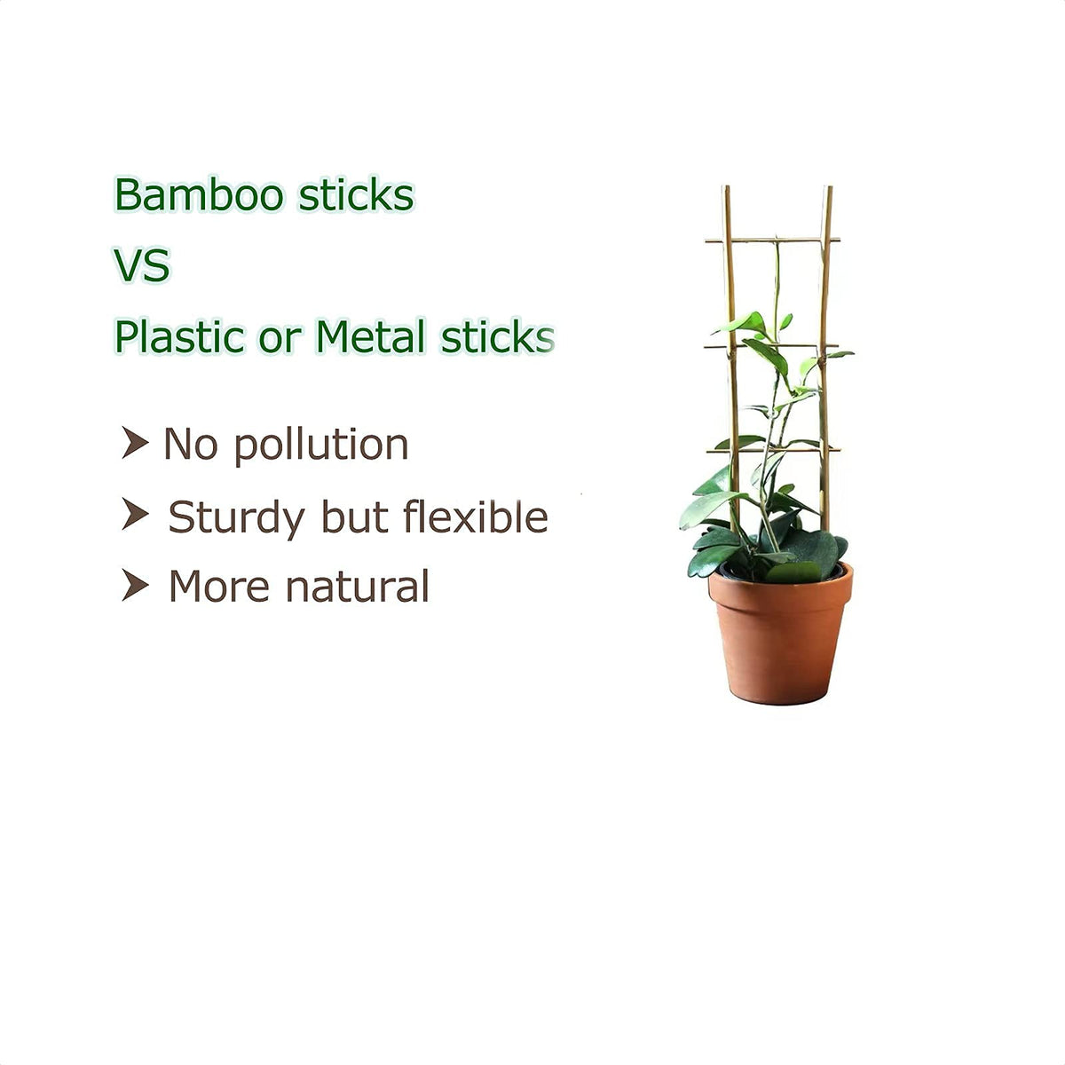 Cambaverd bamboo trellis wind resistance keeps plants steady