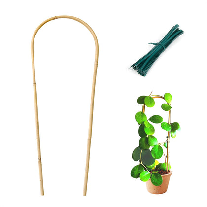 Cambaverd indoor trellis 16in: insert into soil to support climbing vines.