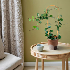 Cambaverd natural bamboo material adds warmth to indoor spaces.