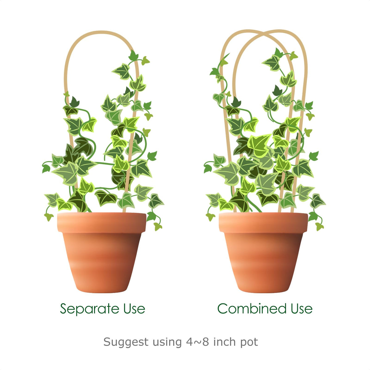 Cambaverd versatile-use trellis suits monstera, ivy, and orchids.