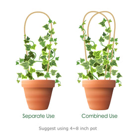 Cambaverd versatile-use trellis suits monstera, ivy, and orchids.