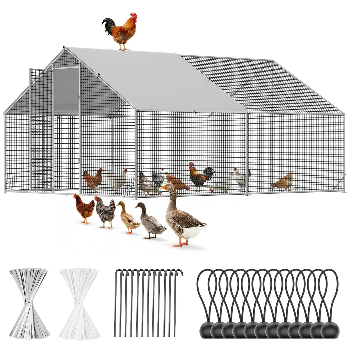 CAMMOO metal chicken coop frame for durable backyard housing.