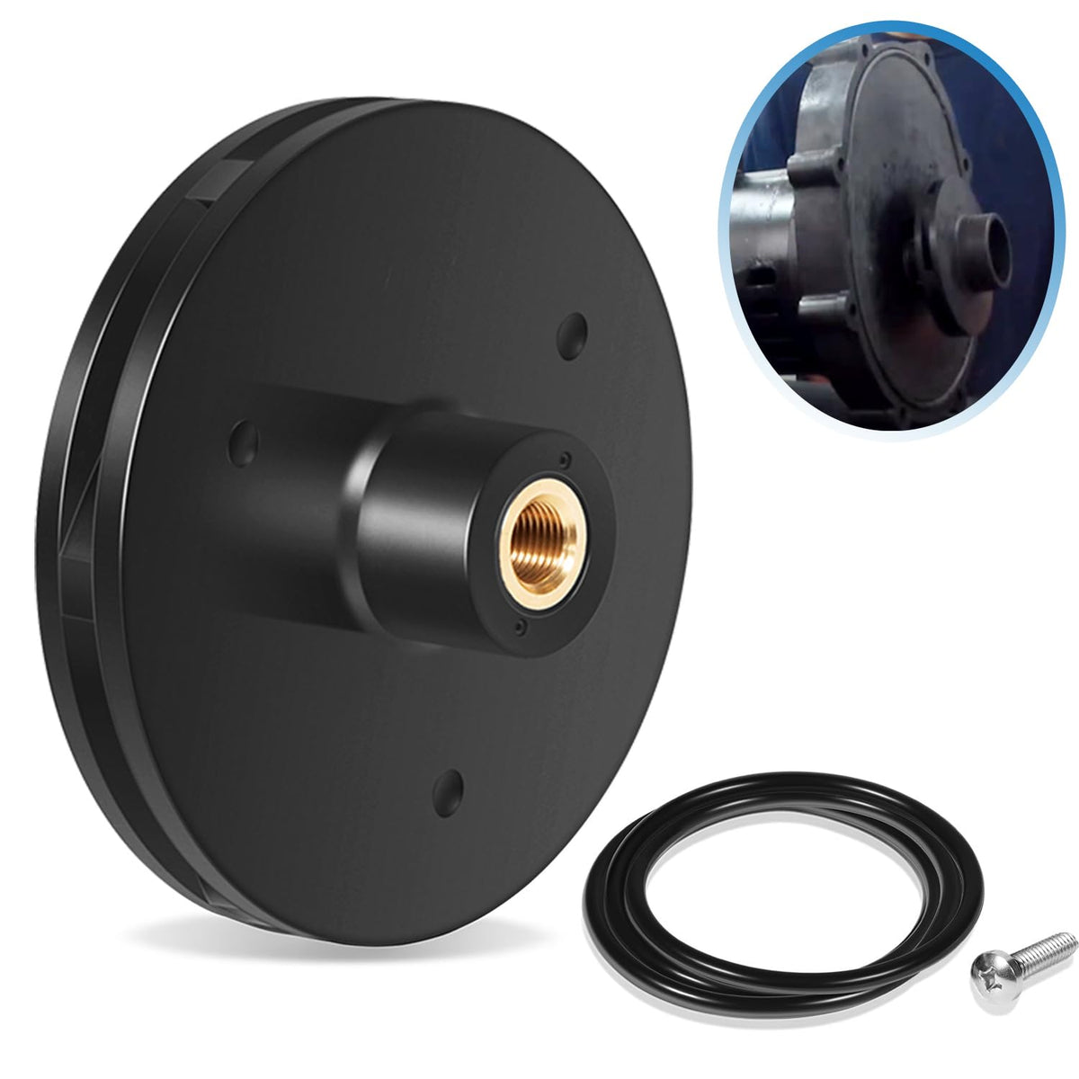 Camoo R0807202 impeller replacement kit with backplate O-ring for DIY pool pump maintenance