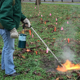 CAMPFIRE weed burner torch in action for weed removal and charcoal start scenarios