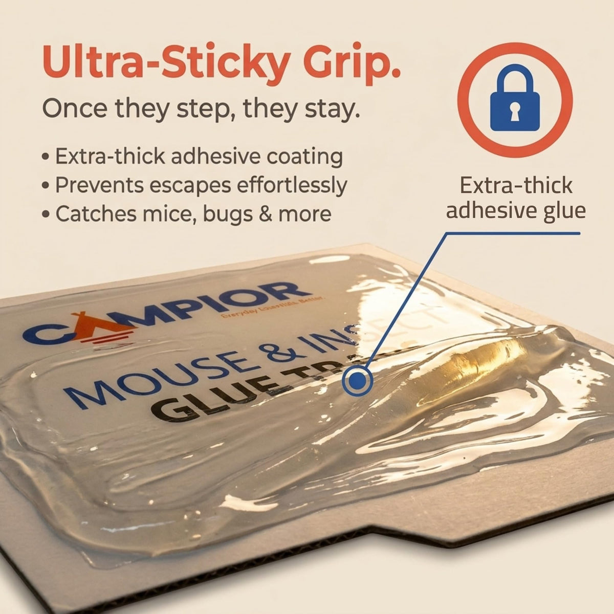 Campior glue-trap-square-box design supports safe indoor use.
