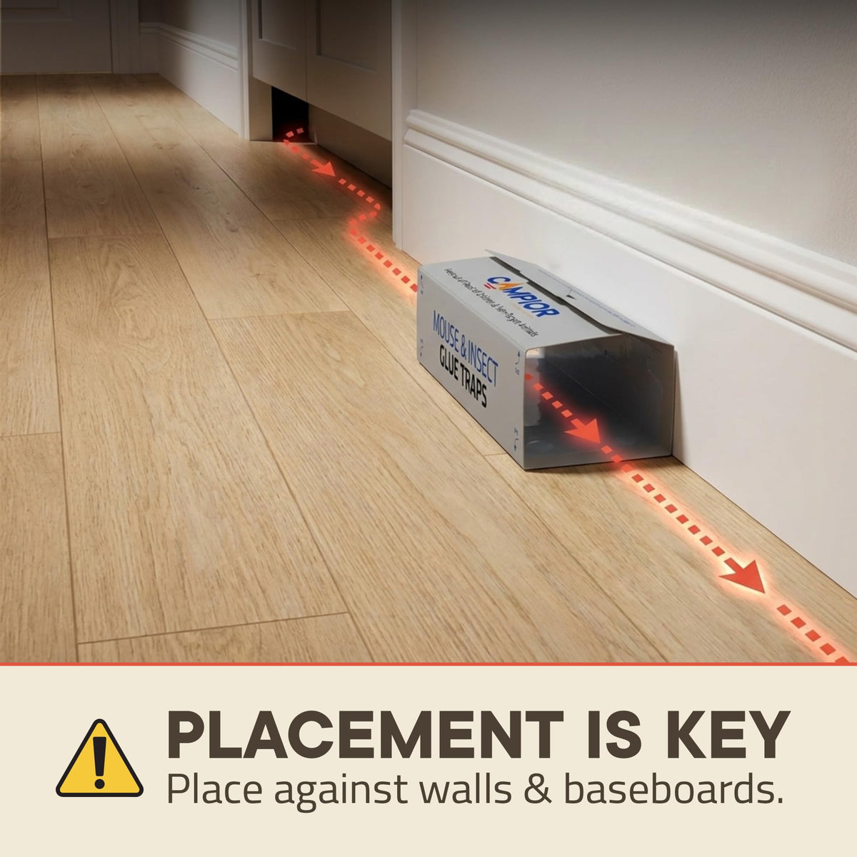 Campior glue-trap-wall setup shows intercepting pests along walls.