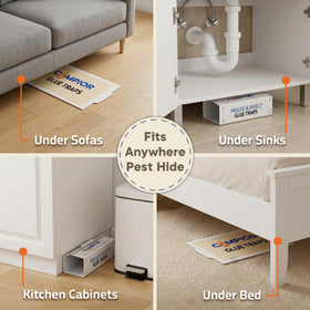 Campior adhesive coating detail highlights ultra-sticky surface for pests.