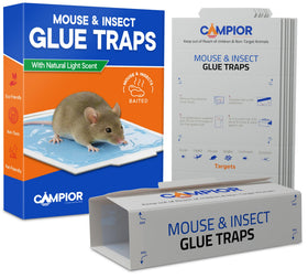 Campior Glue Traps front view, ready for indoor pest control.