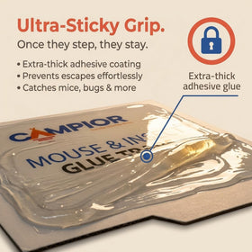 Campior indoor safe non-toxic design ensures household-friendly pest control.