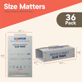Campior Glue Traps shown along wall placement for discreet indoor pest control.