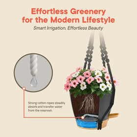 Campior matte finish planter complements modern decor indoors.