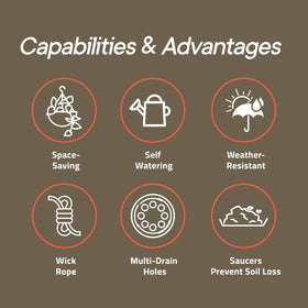 Campior multi-hole drainage promotes healthy roots and airflow.