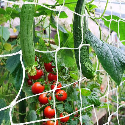 CANAGROW trellis netting 6x15ft pack provides sturdy vertical support for climbing plants.